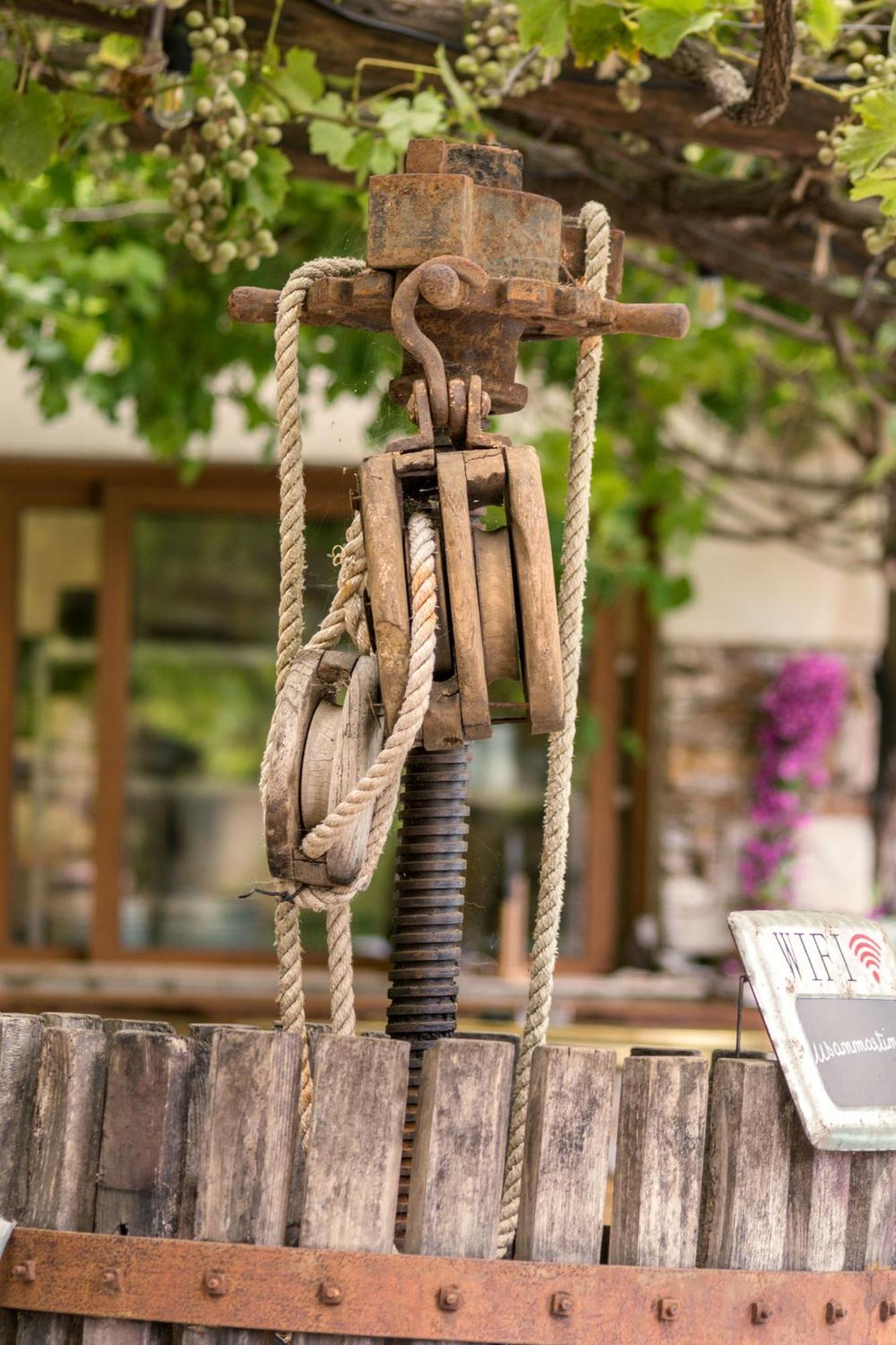 Ferme U San Martinu Bed & Breakfast Sisco Екстериор снимка